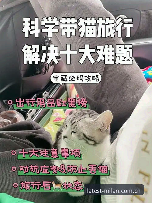 揭秘米兰APP最新版下载攻略：红黑球迷不容错过的数字宝藏